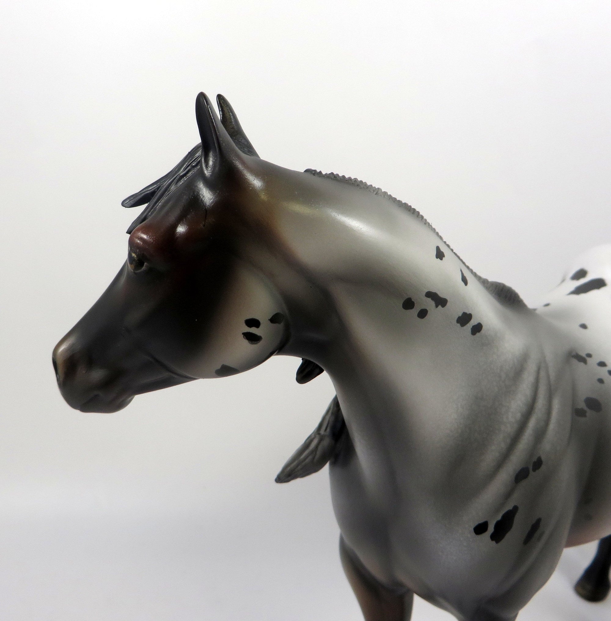 BERRY DELIICIOUS-OOAK APPALOOSA BAY ISH MODEL HORSE BY MISSY FOX 8/14/19
