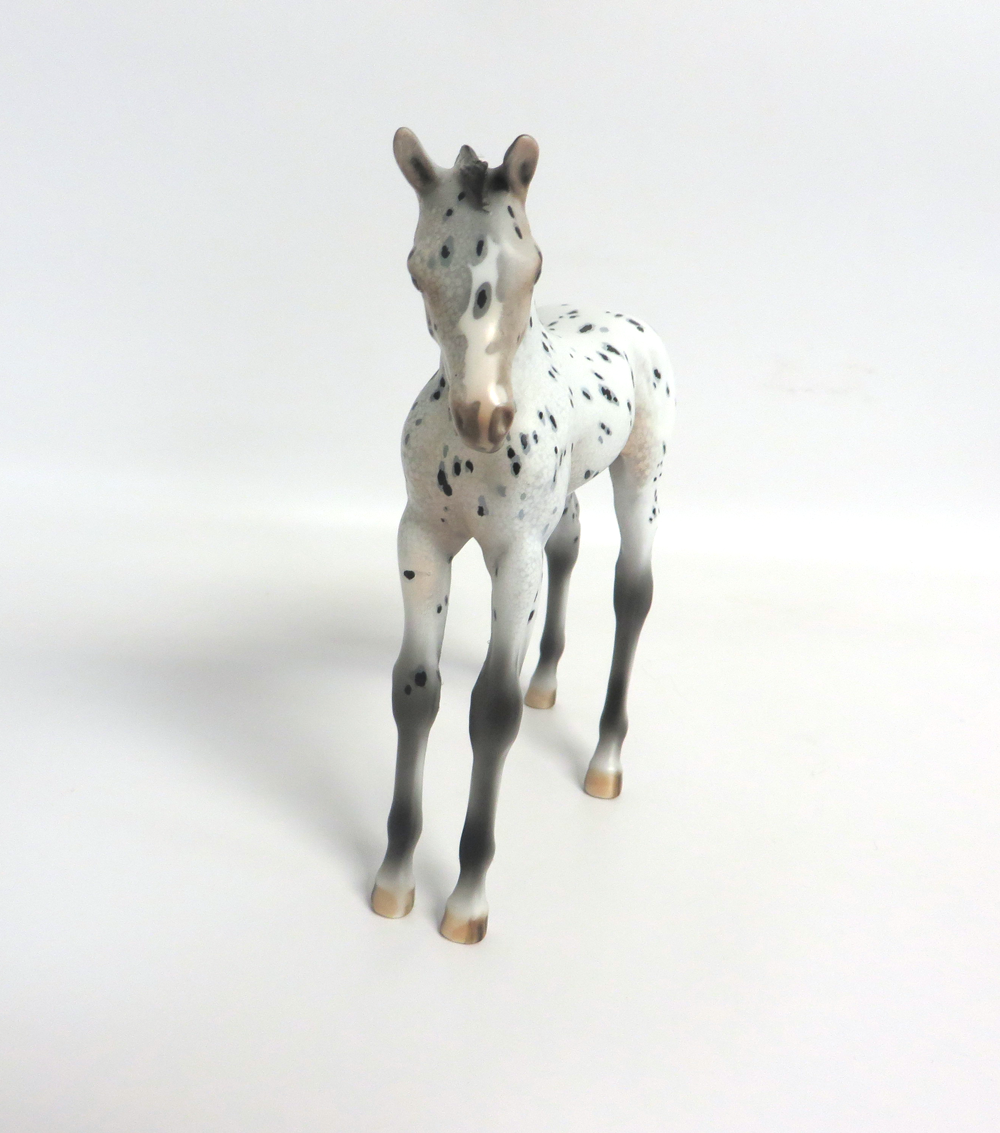 KIT KAT- OOAK ARABIAN FOAL APPALOOSA BY DAWN QUICK 3-15-19