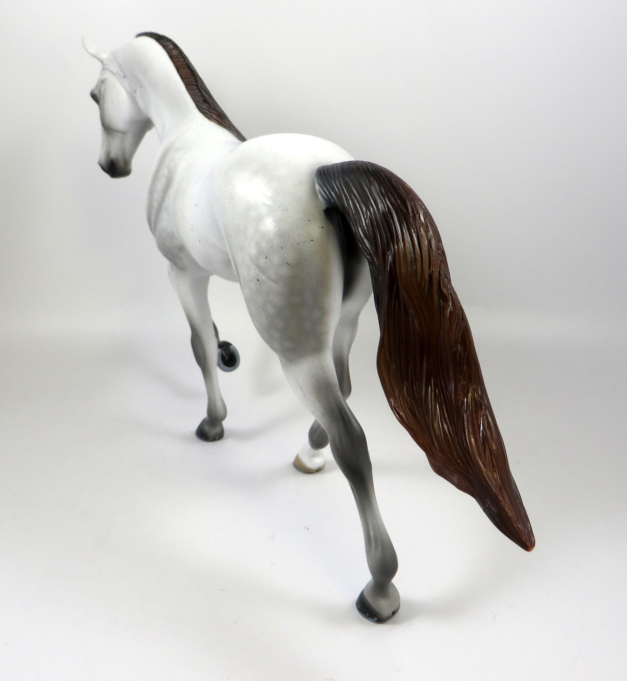 dapple grey Tennessee walker