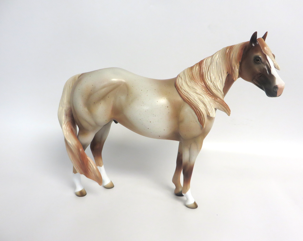 BANJO -- LE15- STRAWBERRY  ROAN ISH BY MISSY FOX EA19 MW19