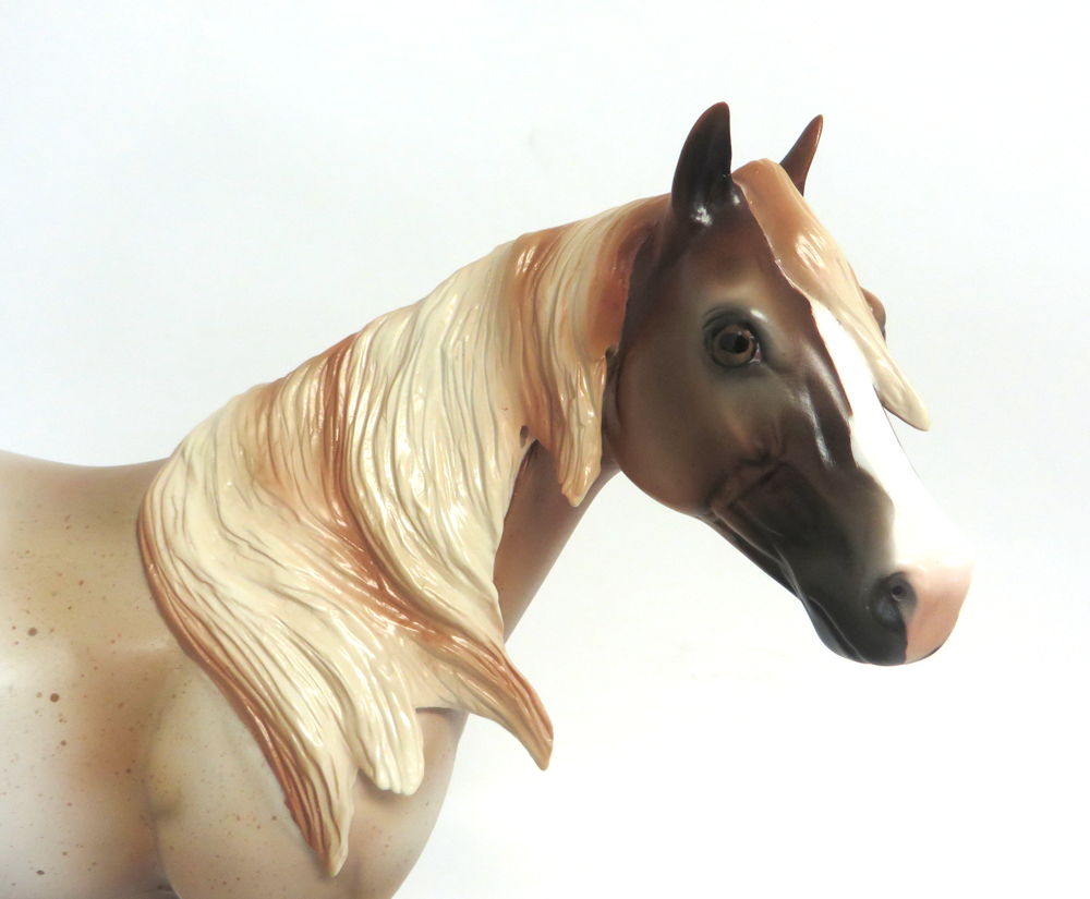 BANJO -- LE15- STRAWBERRY  ROAN ISH BY MISSY FOX EA19 MW19