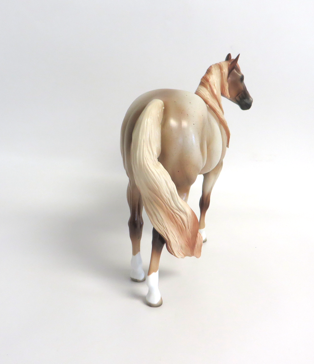 BANJO -- LE15- STRAWBERRY  ROAN ISH BY MISSY FOX EA19 MW19