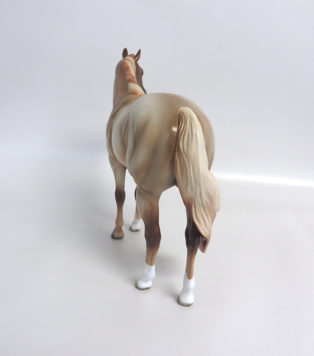 BANJO -- LE15- STRAWBERRY  ROAN ISH BY MISSY FOX EA19 MW19