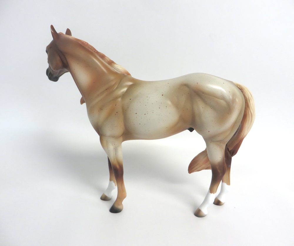 BANJO -- LE15- STRAWBERRY  ROAN ISH BY MISSY FOX EA19 MW19