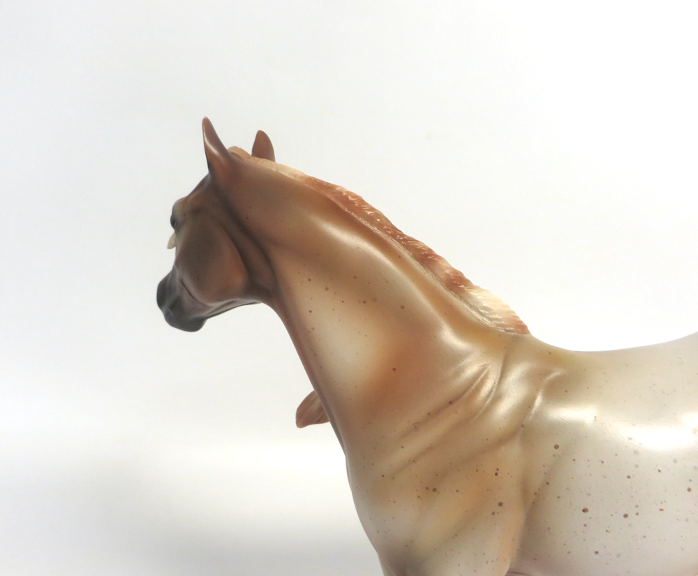 BANJO -- LE15- STRAWBERRY  ROAN ISH BY MISSY FOX EA19 MW19