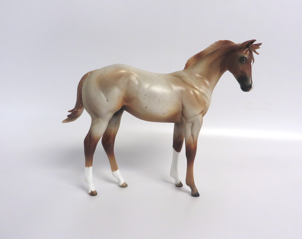 FERGIE -- LE-15 STRAWBERRY ROAN WEANLING BY MISSY FOX EA19 MW19