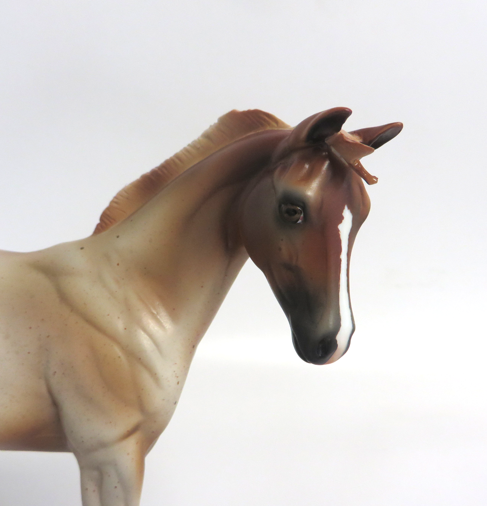 FERGIE -- LE-15 STRAWBERRY ROAN WEANLING BY MISSY FOX EA19 MW19