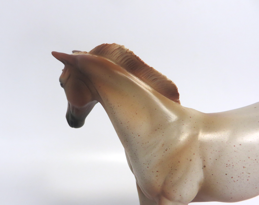 FERGIE -- LE-15 STRAWBERRY ROAN WEANLING BY MISSY FOX EA19 MW19