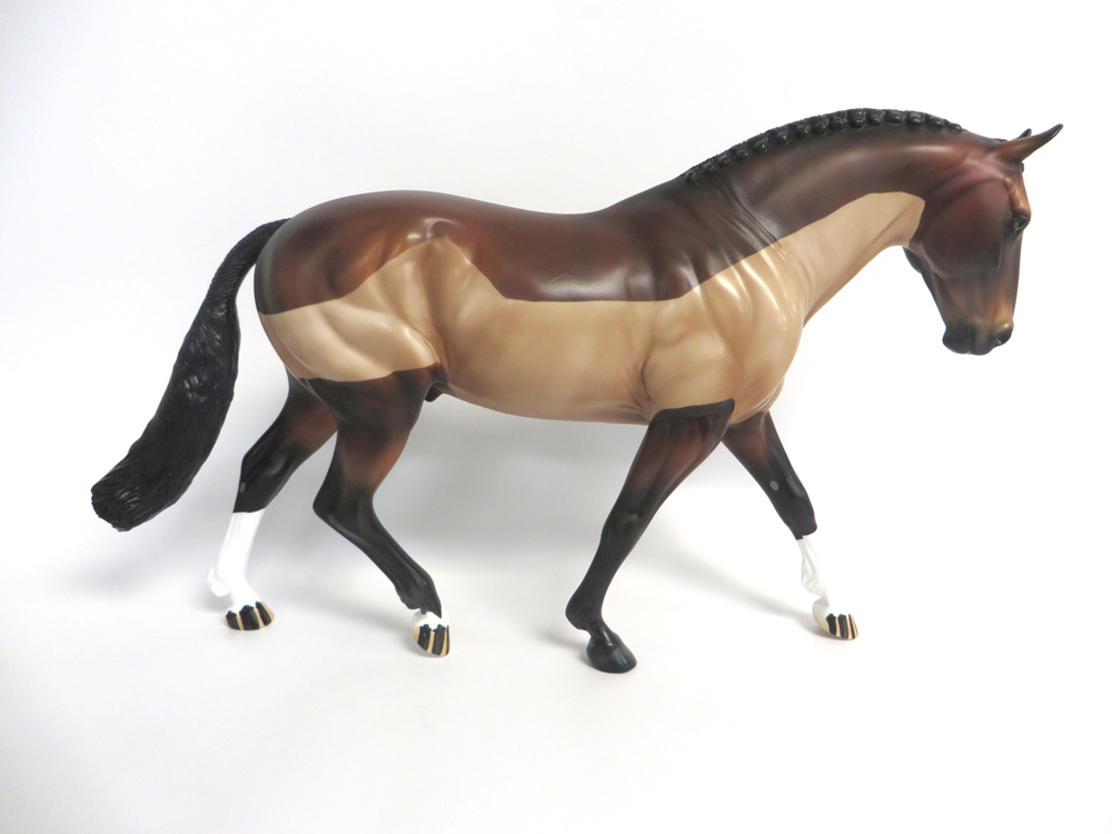 COMANCHE- LE-15 BAY BLANKET CLIPPED IRISH DRAFT BY AUDREY DIXON EA19 MW19