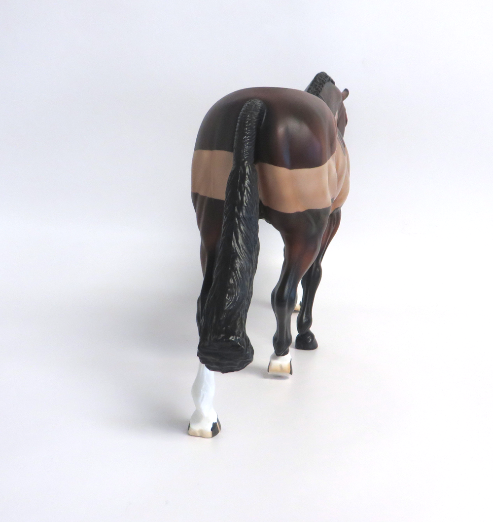 COMANCHE- LE-15 BAY BLANKET CLIPPED IRISH DRAFT BY AUDREY DIXON EA19 MW19