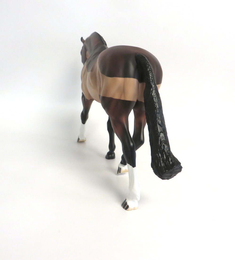 COMANCHE- LE-15 BAY BLANKET CLIPPED IRISH DRAFT BY AUDREY DIXON EA19 MW19