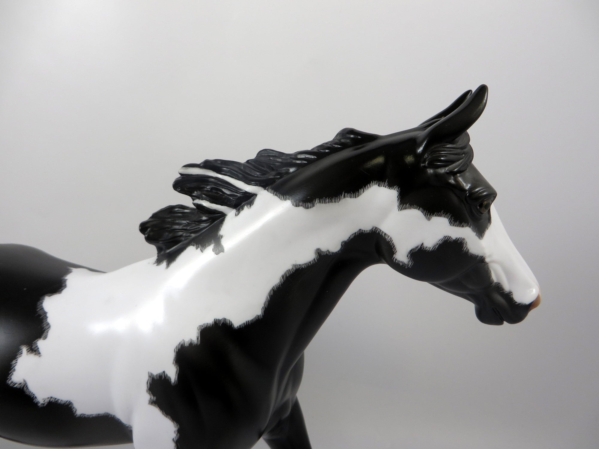 SINBAD-OOAK ETCHED BLACK PINTO PALOUSE MODEL HORSE 8/14/19