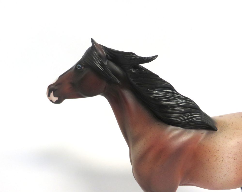 MALCOLUM- LE-2 MUSTANG RED ROAN CUSTOM BY AMANDA HOSTETLER 3-18-19