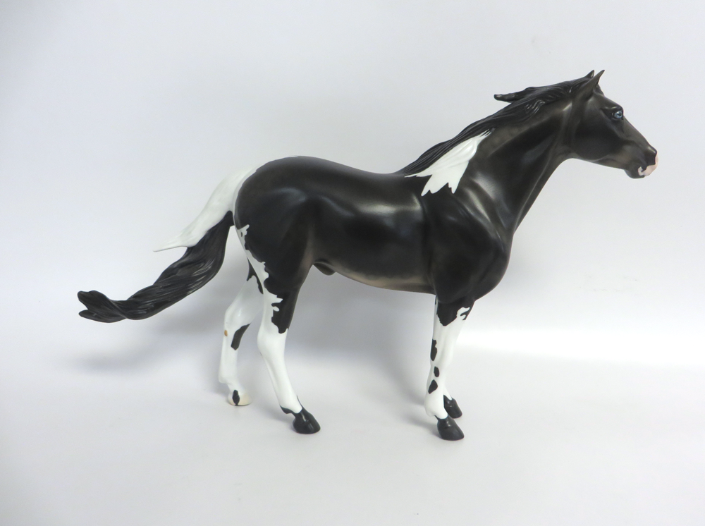 SMOKEY - LE-3  MUSTANG  BLACK GOING GREY  CUSTOM BY AMANDA HOSTETLER 3-18-19