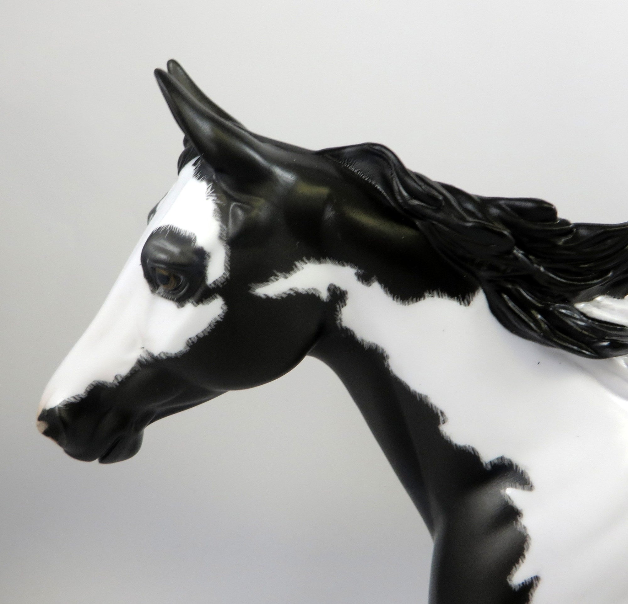 SINBAD-OOAK ETCHED BLACK PINTO PALOUSE MODEL HORSE 8/14/19