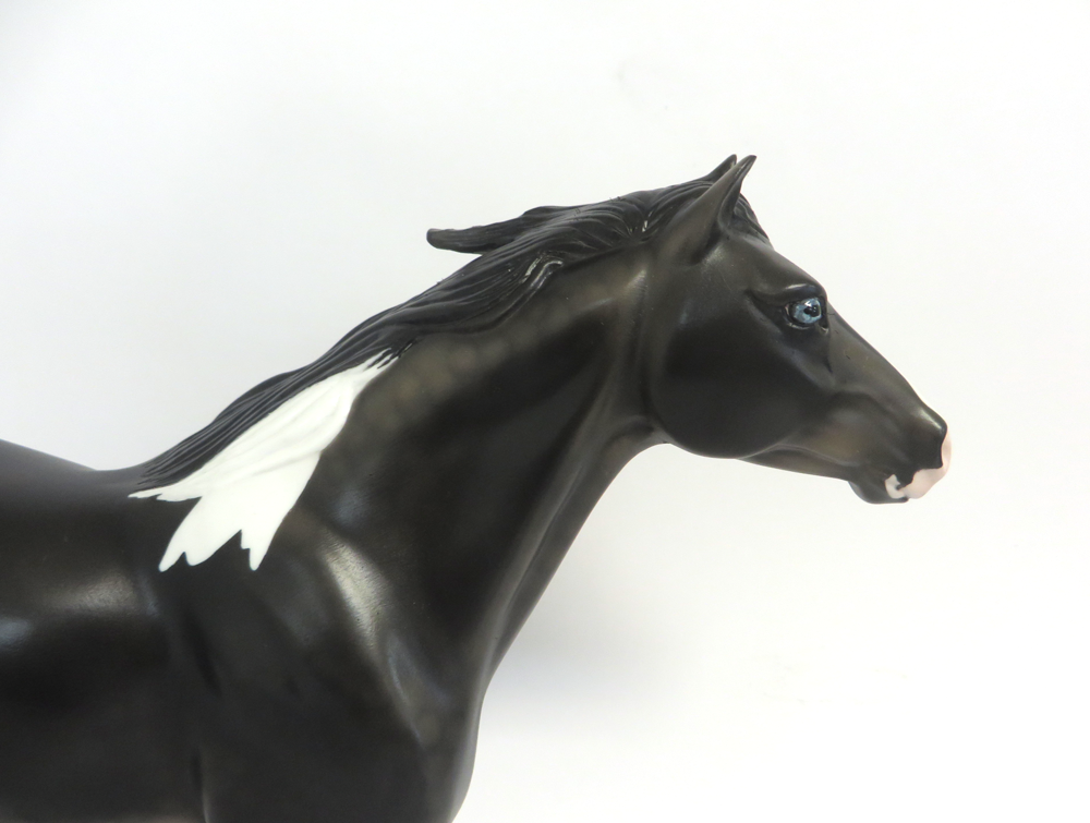 SMOKEY - LE-3  MUSTANG  BLACK GOING GREY  CUSTOM BY AMANDA HOSTETLER 3-18-19