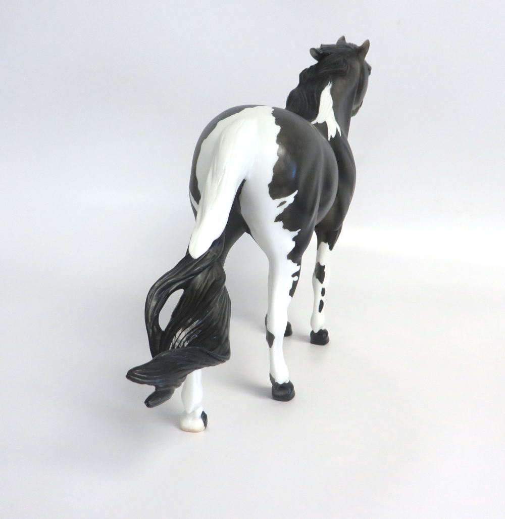 SMOKEY - LE-3  MUSTANG  BLACK GOING GREY  CUSTOM BY AMANDA HOSTETLER 3-18-19