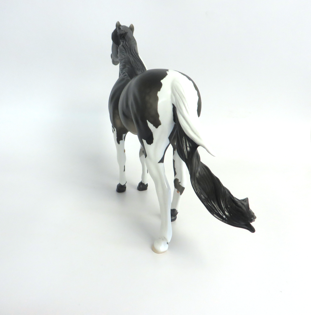 SMOKEY - LE-3  MUSTANG  BLACK GOING GREY  CUSTOM BY AMANDA HOSTETLER 3-18-19