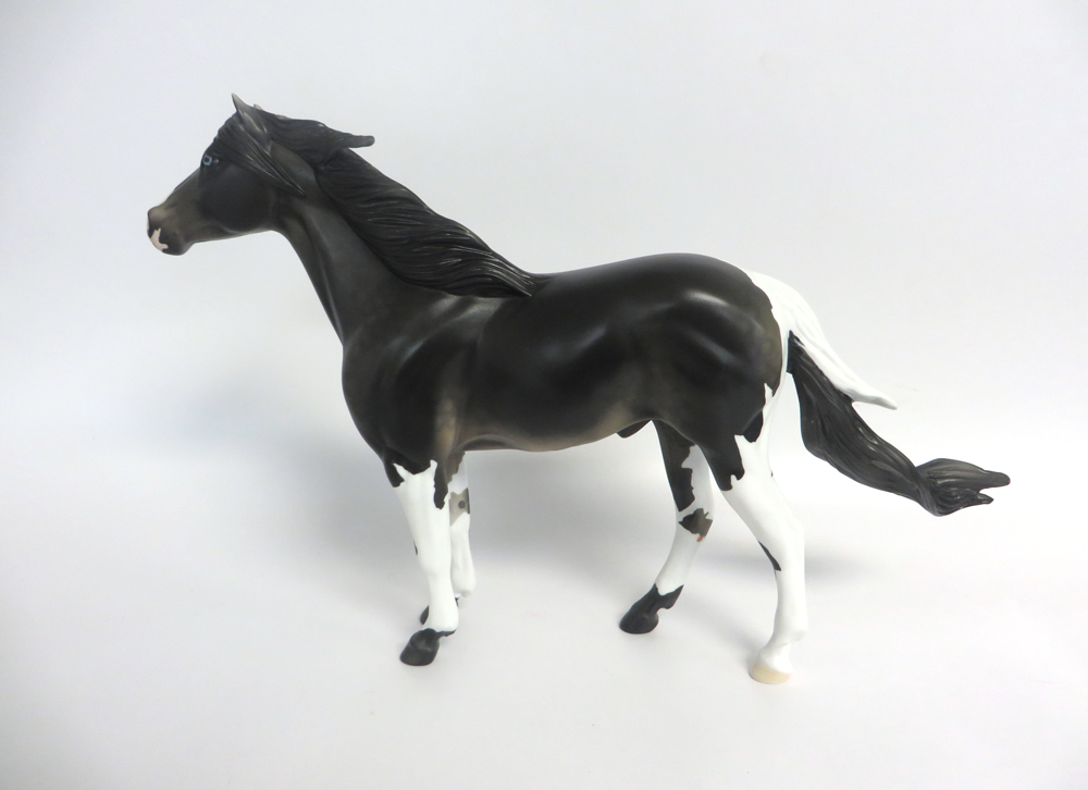 SMOKEY - LE-3  MUSTANG  BLACK GOING GREY  CUSTOM BY AMANDA HOSTETLER 3-18-19