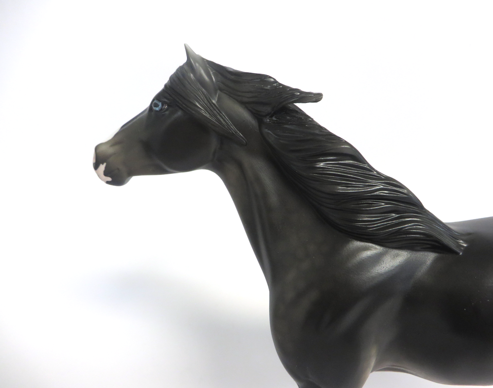 SMOKEY - LE-3  MUSTANG  BLACK GOING GREY  CUSTOM BY AMANDA HOSTETLER 3-18-19