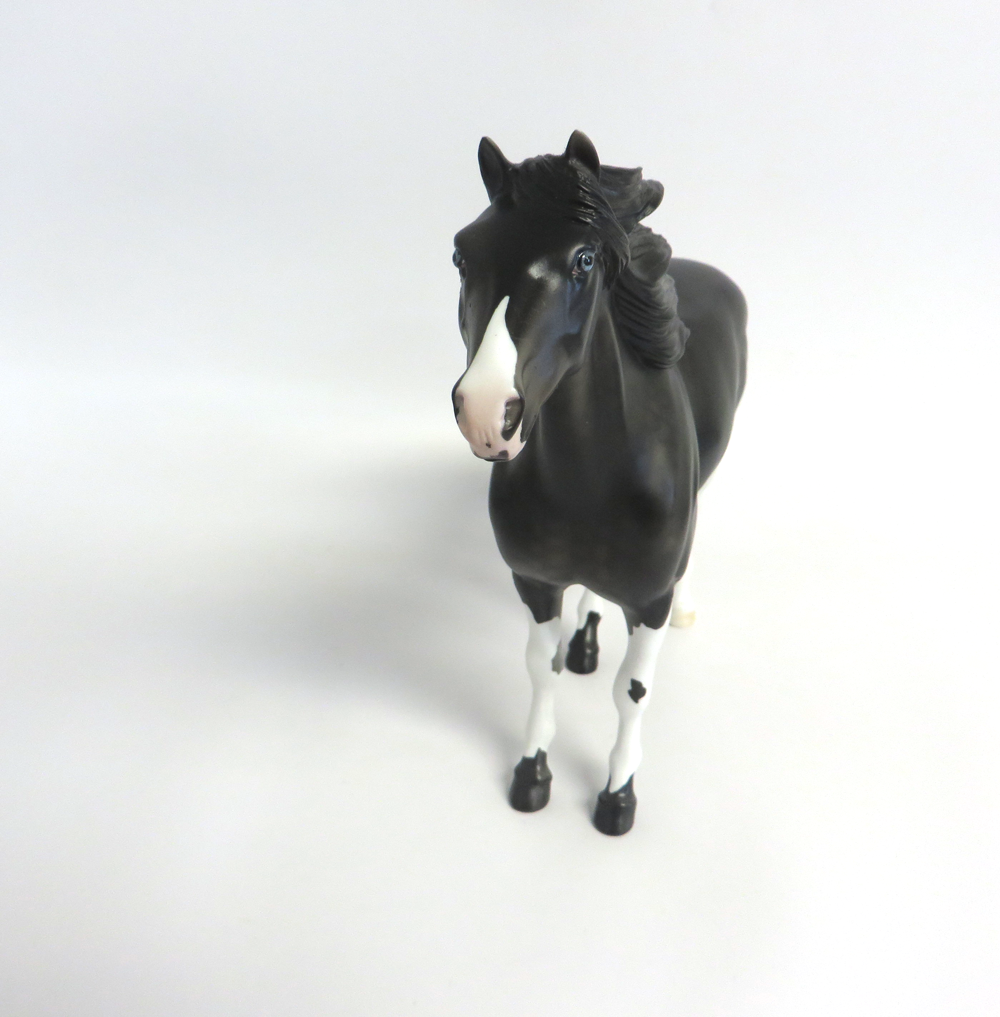 SMOKEY - LE-3  MUSTANG  BLACK GOING GREY  CUSTOM BY AMANDA HOSTETLER 3-18-19