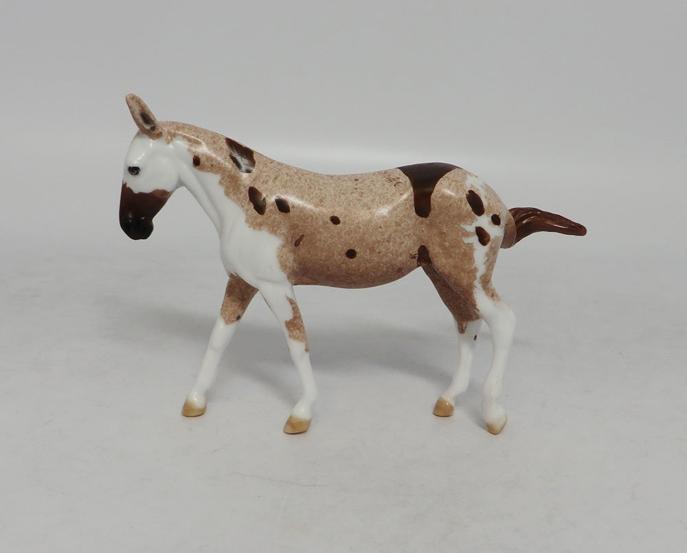 FLABBERGAST-LE.5 STRAWBERRY ROAN PINTALOOSA MULE CHIP BY DAWN QUICK EQ 2018