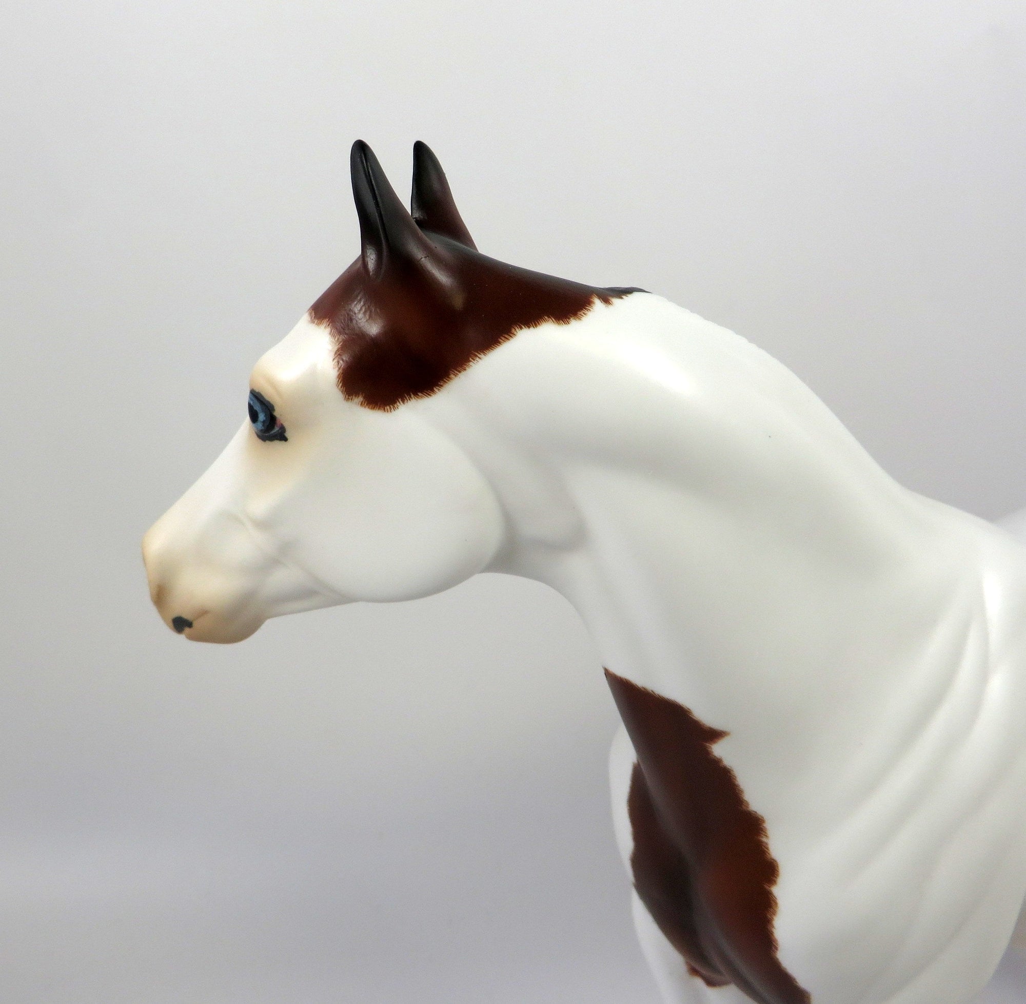 BAD MEDICINE-OOAK ETCHED DAPPLE BAY PINTO ISH MODEL HORSE 8/14/19