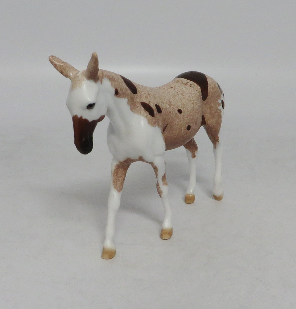 FLABBERGAST-LE.5 STRAWBERRY ROAN PINTALOOSA MULE CHIP BY DAWN QUICK EQ 2018