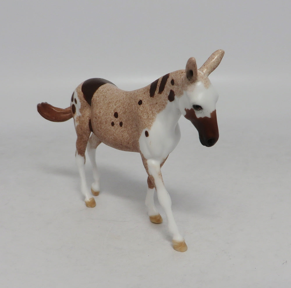 FLABBERGAST-LE.5 STRAWBERRY ROAN PINTALOOSA MULE CHIP BY DAWN QUICK EQ 2018