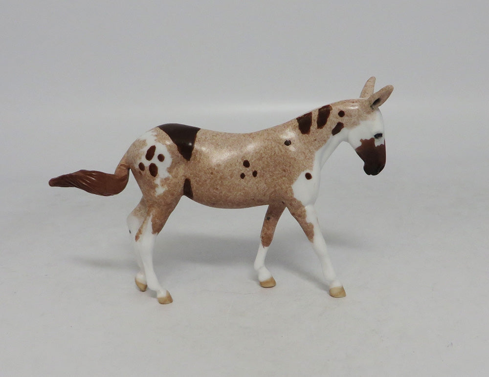 FLABBERGAST-LE.5 STRAWBERRY ROAN PINTALOOSA MULE CHIP BY DAWN QUICK EQ 2018