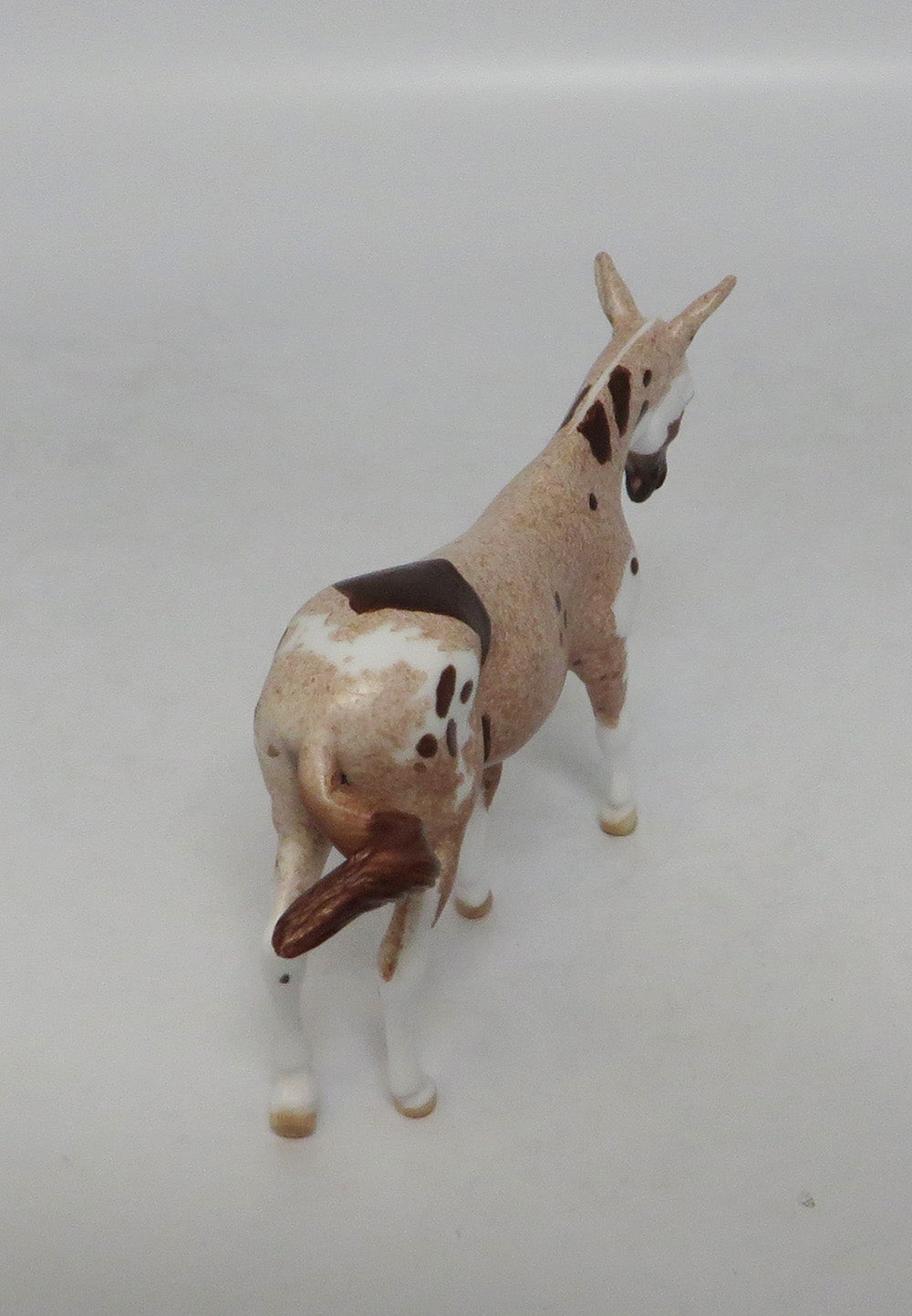 FLABBERGAST-LE.5 STRAWBERRY ROAN PINTALOOSA MULE CHIP BY DAWN QUICK EQ 2018