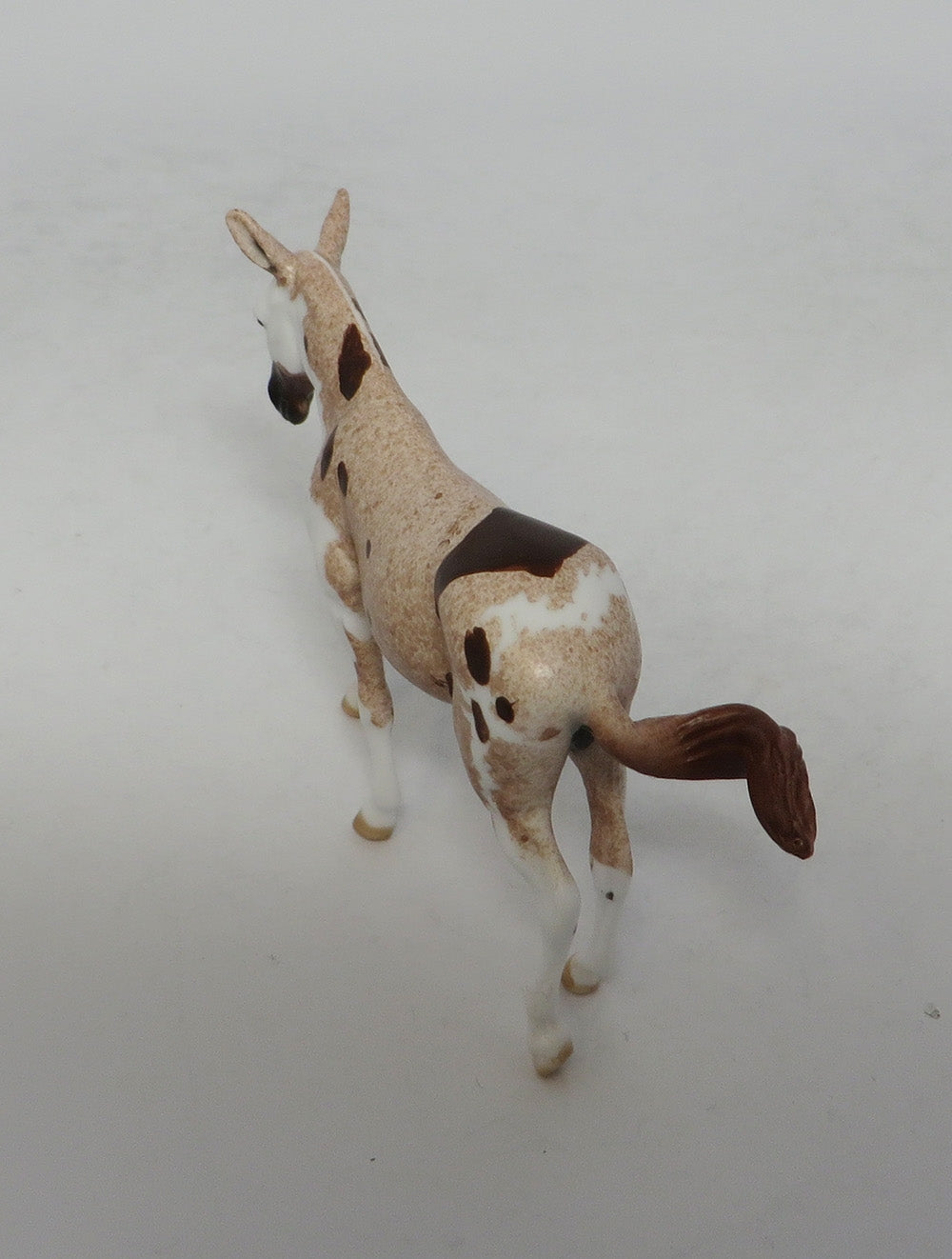 FLABBERGAST-LE.5 STRAWBERRY ROAN PINTALOOSA MULE CHIP BY DAWN QUICK EQ 2018