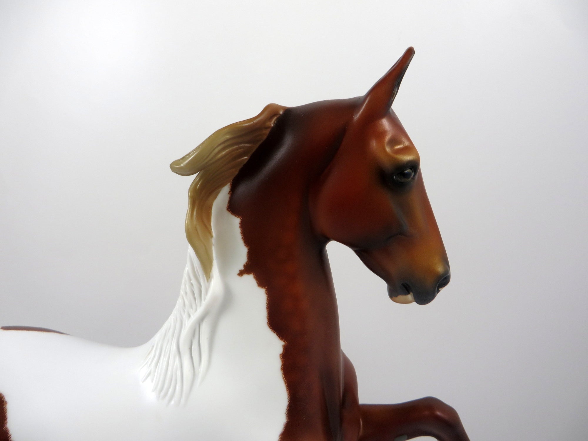 HOT ROD SPIKE-OOAK ETCHED DAPPLE CHESTNUT PINTO SADDLEBRED BY AUDREY DIXON 8/14/19