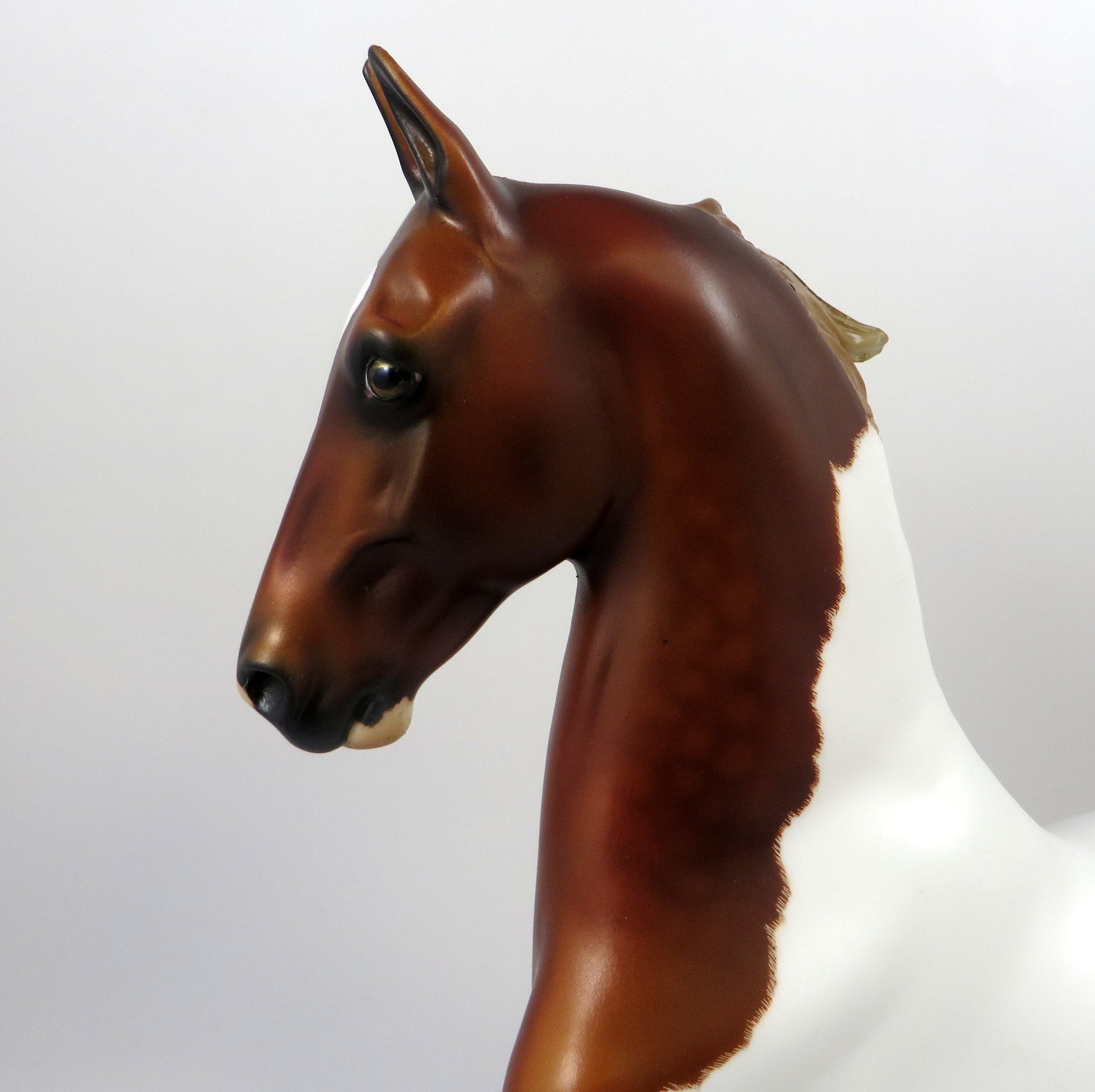 HOT ROD SPIKE-OOAK ETCHED DAPPLE CHESTNUT PINTO SADDLEBRED BY AUDREY DIXON 8/14/19