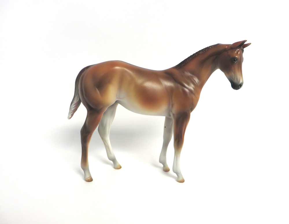 TILLY-- LE-8  DARK  PALOMINO WEANLING BY MISSY FOX 3-19-19