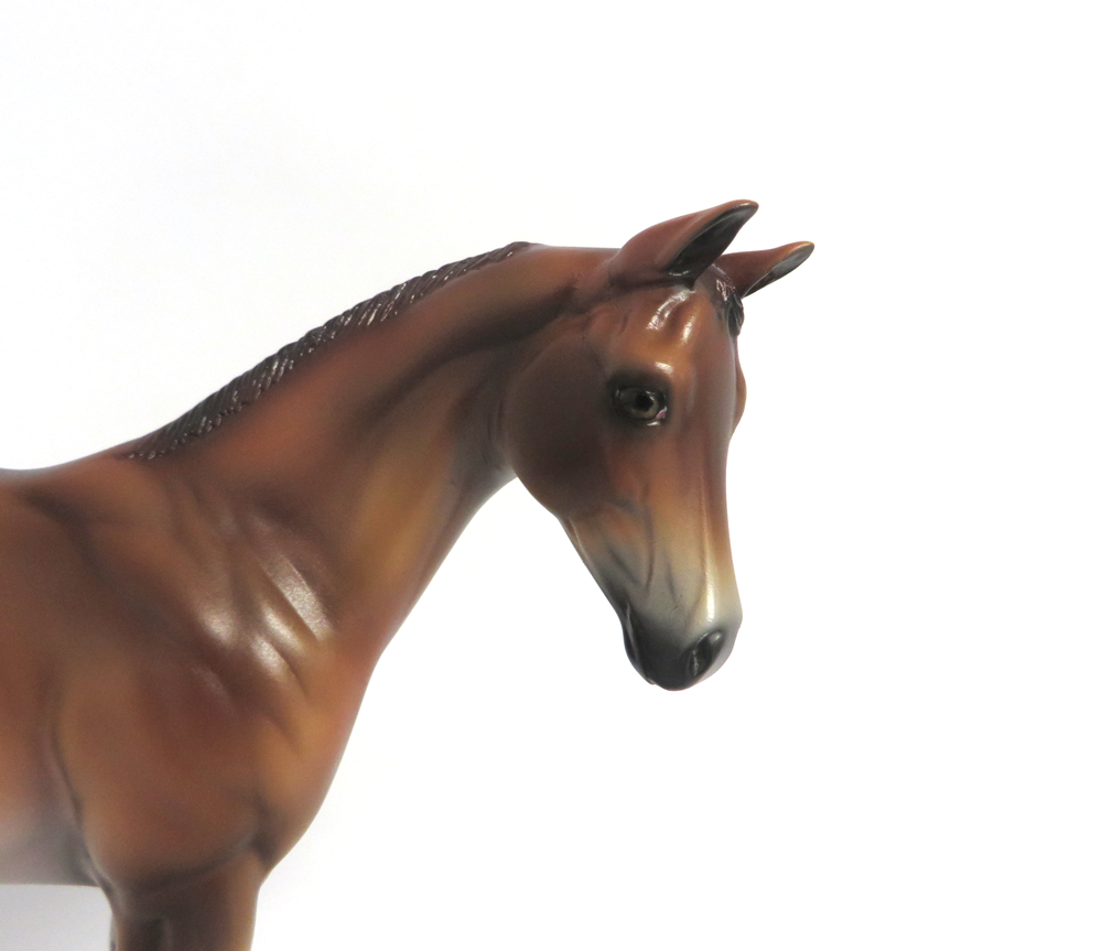 TILLY-- LE-8  DARK  PALOMINO WEANLING BY MISSY FOX 3-19-19