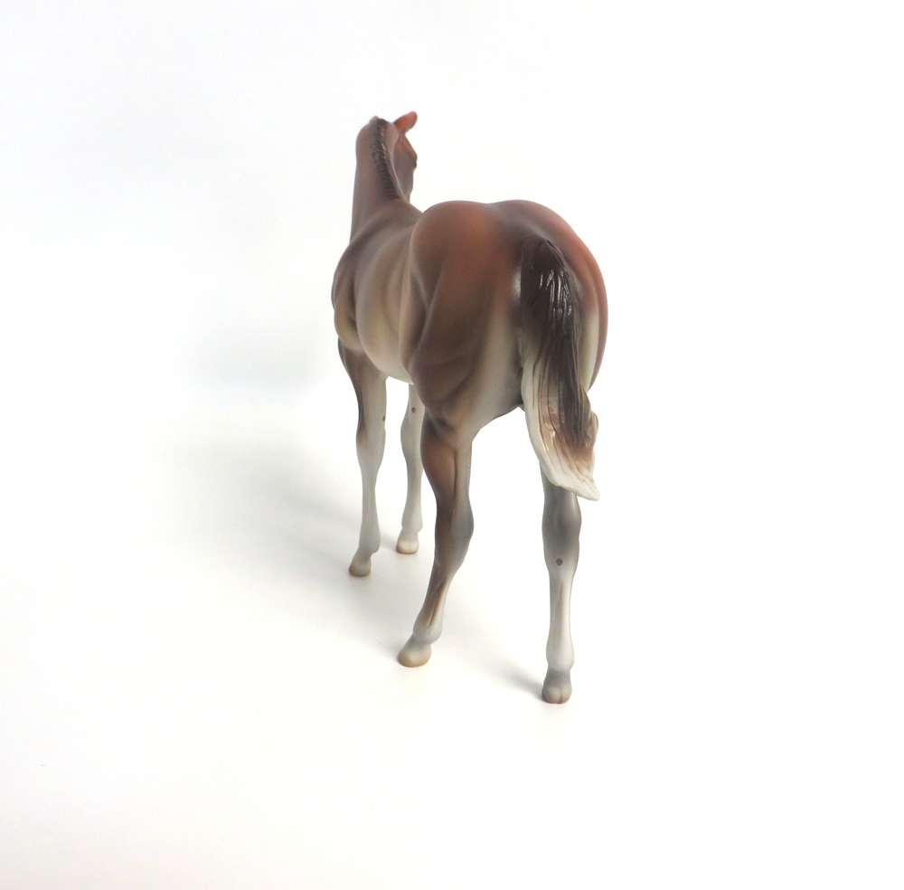 TILLY-- LE-8  DARK  PALOMINO WEANLING BY MISSY FOX 3-19-19