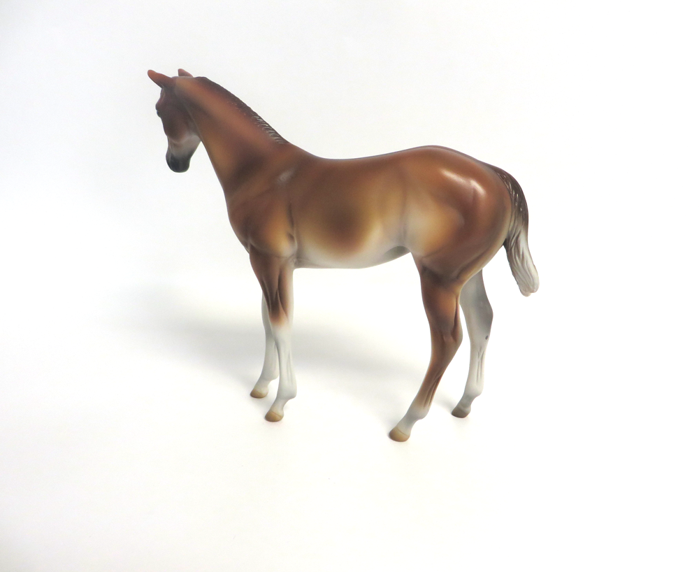 TILLY-- LE-8  DARK  PALOMINO WEANLING BY MISSY FOX 3-19-19