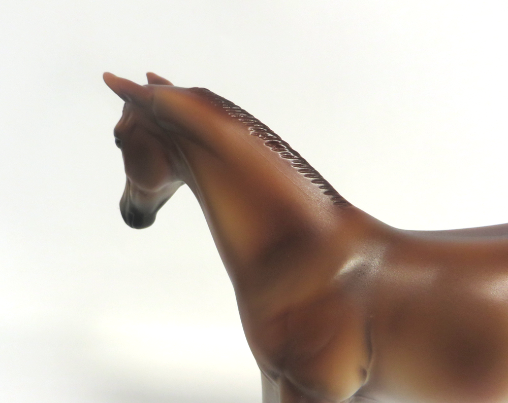 TILLY-- LE-8  DARK  PALOMINO WEANLING BY MISSY FOX 3-19-19