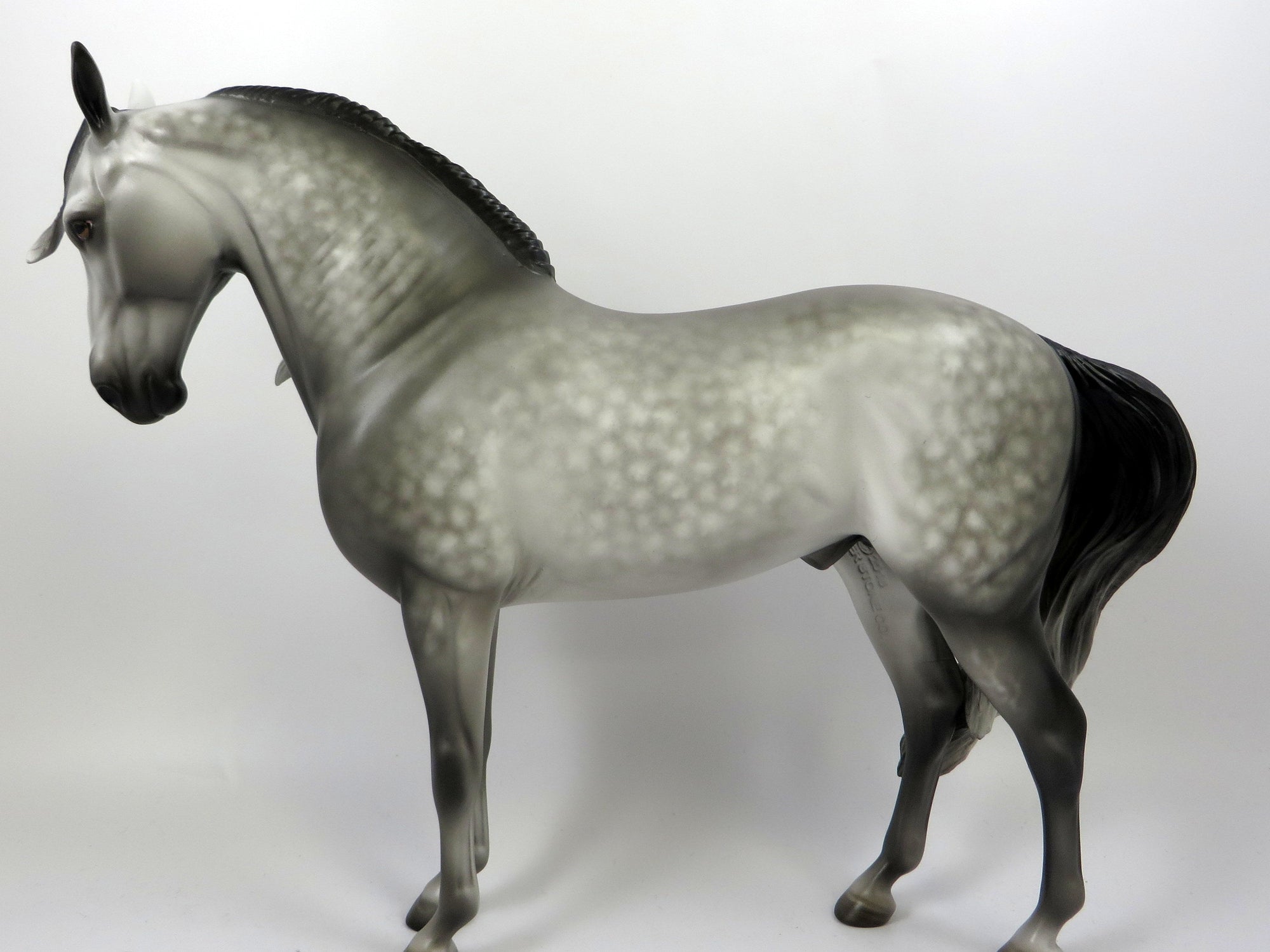 ABELARDO-OOAK STAR DAPPLE GREY ANDALUSIAN MODEL HORSE BY SHERYL LEISURE 8/16/19