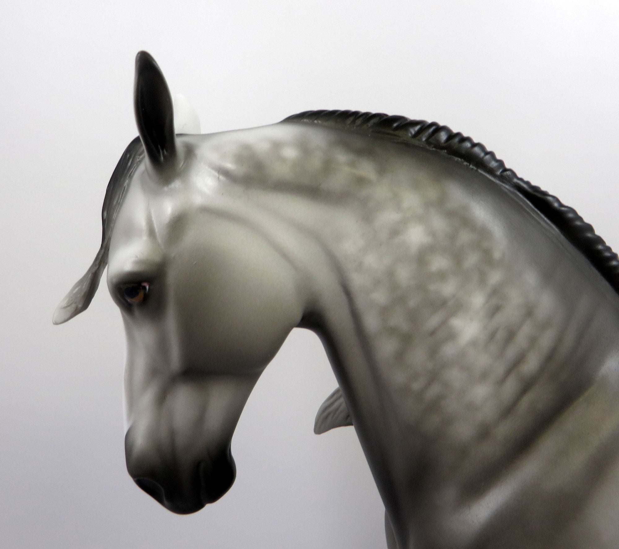 ABELARDO-OOAK STAR DAPPLE GREY ANDALUSIAN MODEL HORSE BY SHERYL LEISURE 8/16/19