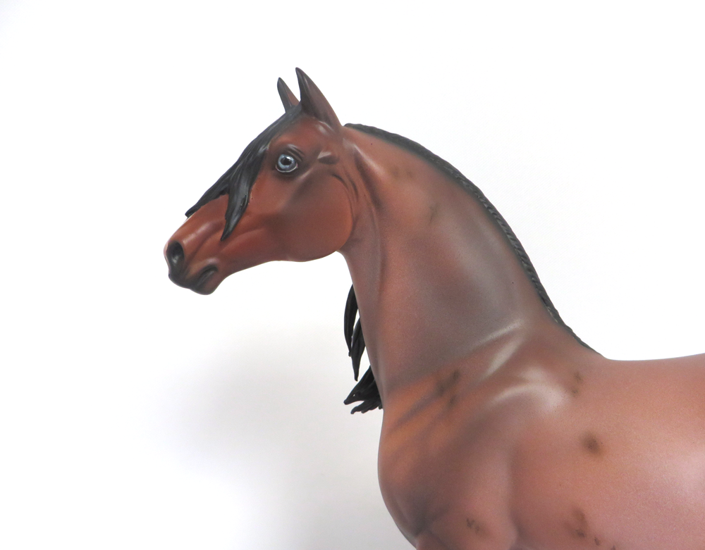 RED CHENILLE- LE-5 RED ROAN MORGAN BY JULIE KEIM 3-20-19