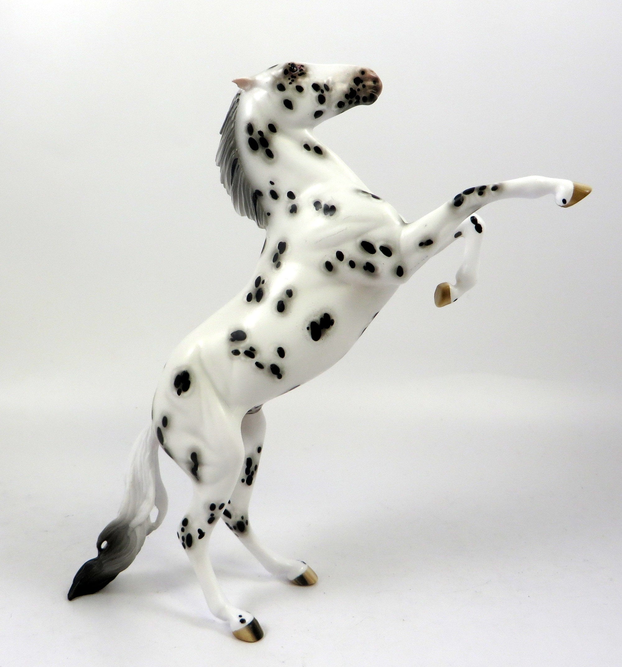 WAYNE-OOAK LOUD APPALOOSA REARING PEBBLES MODEL HORSE BY SHERYL LEISURE 9/6/19