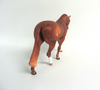 IVANWOOD-OOAK DAPPLE RED CHESTNUT IRISH DRAFT MODEL HORSE BY AUDREY DIXON 3/22/19