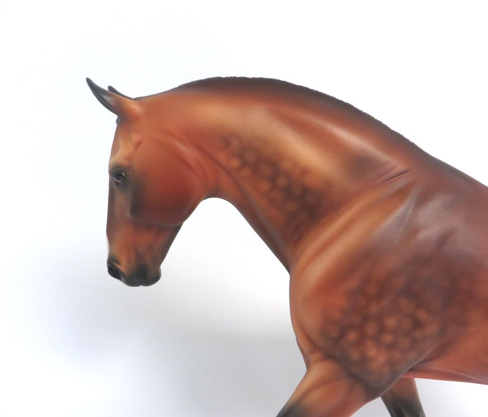 EDENROE-OOAK DAPPLE GOLDEN BAY IRISH DRAFT MODEL HORSE BY AUDREY DIXON 3/22/19