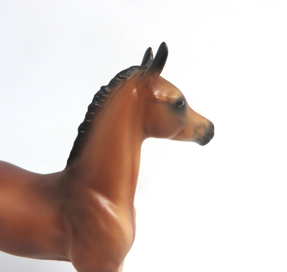 APPLAUSE PLEASE-OOAK BAY ARABIAN FOAL MODEL HORSE BY AUDREY DIXON 3/22/19