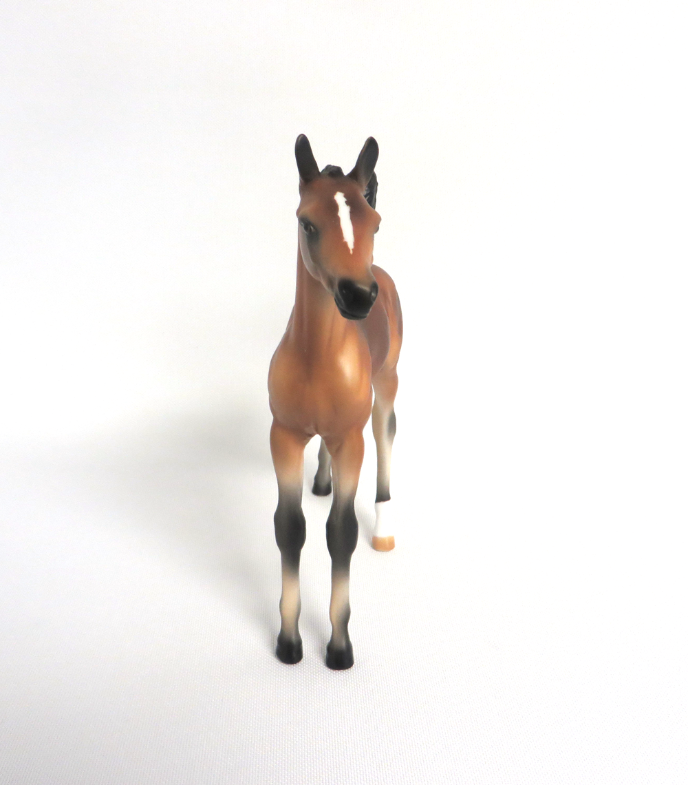 APPLAUSE PLEASE-OOAK BAY ARABIAN FOAL MODEL HORSE BY AUDREY DIXON 3/22/19