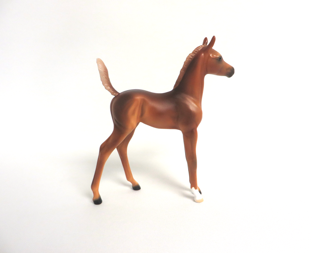 APONA-OOAK CHESTNUT ARABIAN FOAL MODEL HORSE BY AUDREY DIXON 3/22/19