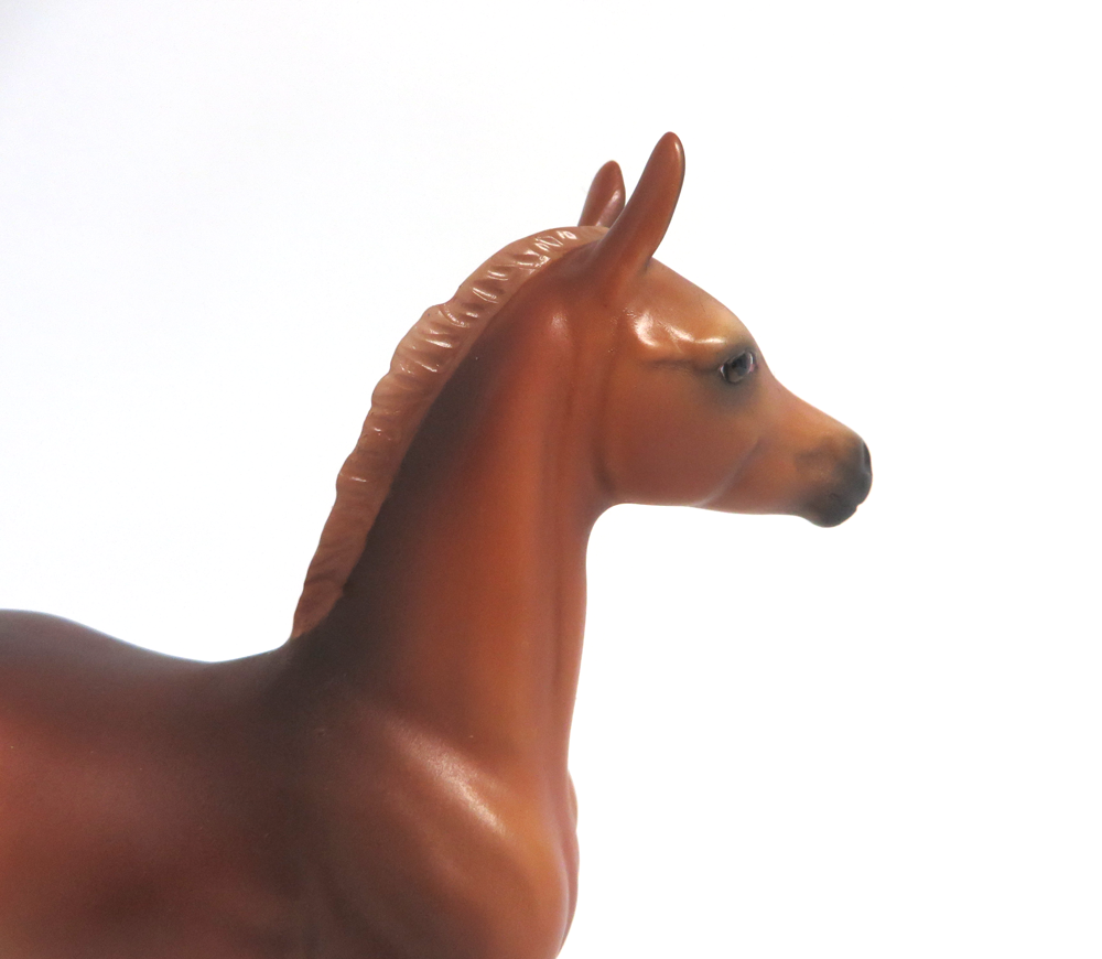 APONA-OOAK CHESTNUT ARABIAN FOAL MODEL HORSE BY AUDREY DIXON 3/22/19