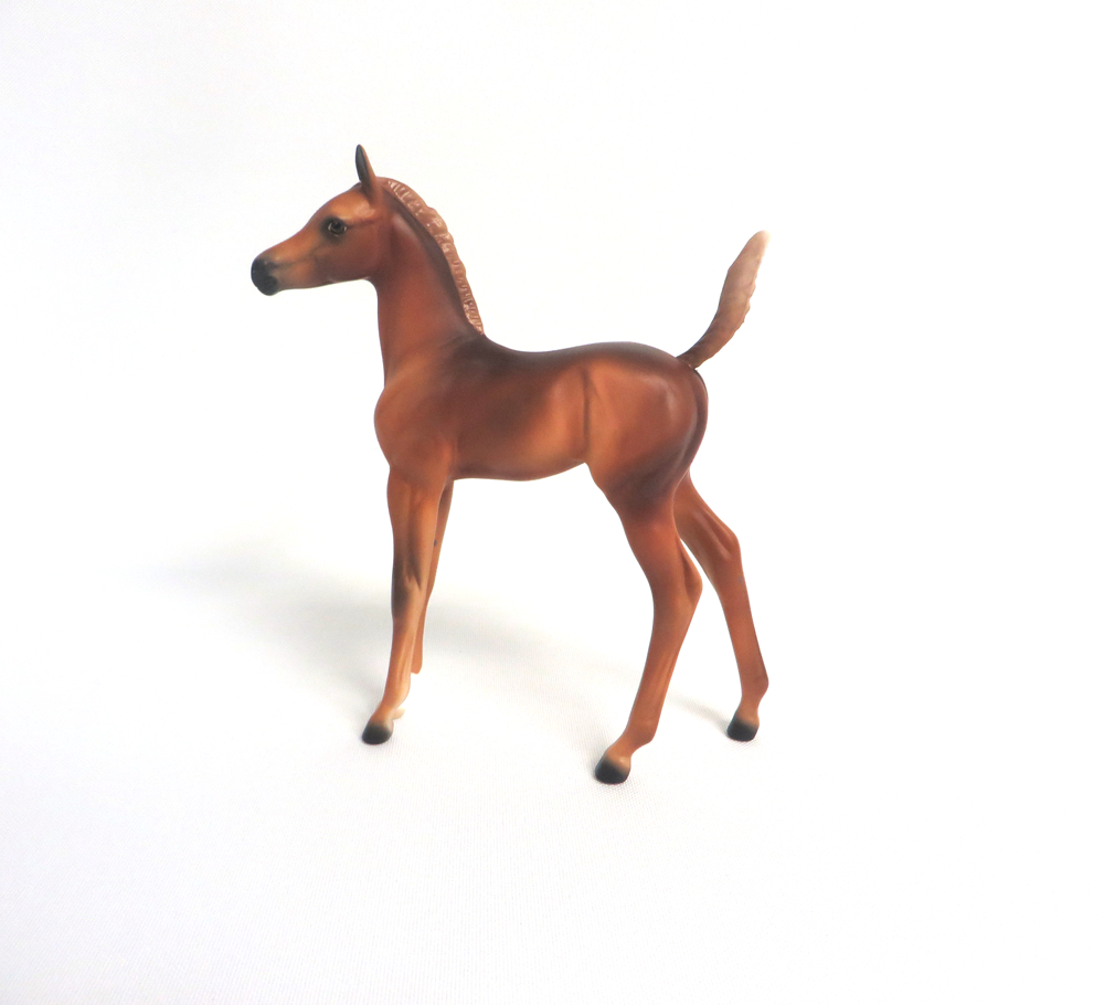 APONA-OOAK CHESTNUT ARABIAN FOAL MODEL HORSE BY AUDREY DIXON 3/22/19